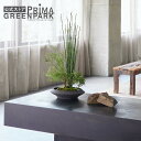 【公式】モミジ 寄せ植え盆栽 平皿 大 CUPBON 盆栽 フェイクグリーン | PRIMA フェイク盆栽 観葉植物 人工 リアル フェイク グリーン イミテー...