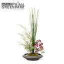 【公式】モミジ 寄せ植え盆栽 平皿 大 実付 CUPBON 盆栽 フェイクグリーン | PRIMA フェイク盆栽 観葉植物 人工 リアル フェイク グリーン イ...