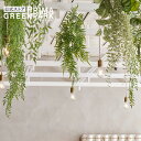 【公式】シダ ハンギングプランツ 観葉植物 フェイクグリーン eco | GREENPARK フェイクフラワー インテリア ウォールフラワー フラワーリース ス...