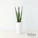 【公式】サンスベリア スリムプランター H80cm 観葉植物 フェイクグリーン| GREENPARK 人工観葉植物 造花 おしゃれ リアル イミテーション イン...
