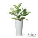 【公式】ゴムの木 スリムプランター H73cm 観葉植物 フェイクグリーン eco | GREENPARK 人工観葉植物 造花 おしゃれ リアル イミテーション...