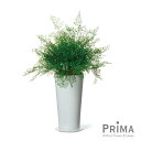 【公式】アジアンタム スリムプランター H68cm 観葉植物 フェイクグリーン | GREENPARK 人工観葉植物 造花 おしゃれ リアル イミテーション イ...