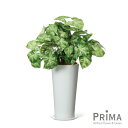 【公式】カラジウム スリムプランター H61cm 観葉植物 フェイクグリーン | GREENPARK 人工観葉植物 造花 おしゃれ リアル イミテーション イン...