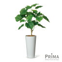 【公式】ウンベラータ スリムプランター H79cm 観葉植物 フェイクグリーン | GREENPARK 人工観葉植物 造花 おしゃれ リアル イミテーション イ...