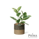 【公式】ゴムの木 ジュートポット H57cm 観葉植物 フェイクグリーン eco | GREENPARK 人工観葉植物 造花 おしゃれ リアル イミテーション ...