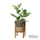 【公式】ゴムの木 ジュートポット 脚付 H70cm 観葉植物 フェイクグリーン eco | GREENPARK 人工観葉植物 造花 おしゃれ リアル イミテーシ...