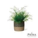 【公式】アジアンタム ジュートポット H52cm 観葉植物 フェイクグリーン | GREENPARK 人工観葉植物 造花 おしゃれ リアル イミテーション イン...