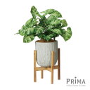 【ポイントUP】【公式】カラジウム オベリスポット 脚付 H59cm 観葉植物 フェイクグリーン | GREENPARK 人工観葉植物 造花 おしゃれ リアル ...