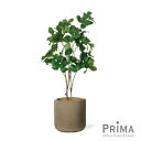 【公式】マグノリア レザーポット H73cm 観葉植物 フェイクグリーン | GREENPARK 人工観葉植物 造花 おしゃれ リアル イミテーション インテリ...