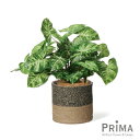 【公式】カラジウム ジュートポット H45cm 観葉植物 フェイクグリーン | GREENPARK 人工観葉植物 造花 おしゃれ リアル イミテーション インテ...