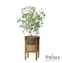 【公式】ベンジャミン ジュートポット 脚付 H83cm 観葉植物 フェイクグリーン | GREENPARK 人工観葉植物 造花 おしゃれ リアル イミテーション...
