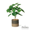 【公式】ウンベラータ ジュートポット H63cm 観葉植物 フェイクグリーン | GREENPARK 人工観葉植物 造花 おしゃれ リアル イミテーション イン...