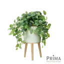 【公式】フィットニア エルナ H60cm 観葉植物 フェイクグリーン | GREENPARK 人工観葉植物 造花 おしゃれ リアル イミテーション インテリアグ...