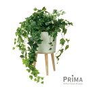 【公式】アイビー エルナ H65cm 観葉植物 フェイクグリーン | GREENPARK 人工観葉植物 造花 おしゃれ リアル イミテーション インテリアグリー...