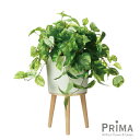 【ポイントUP】【公式】ポトス エルナ H60cm 観葉植物 フェイクグリーン | GREENPARK 人工観葉植物 造花 おしゃれ リアル イミテーション イ...