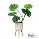 【公式】モンステラ エルナ H82cm 観葉植物 フェイクグリーン eco | GREENPARK 人工観葉植物 造花 おしゃれ リアル イミテーション インテ...