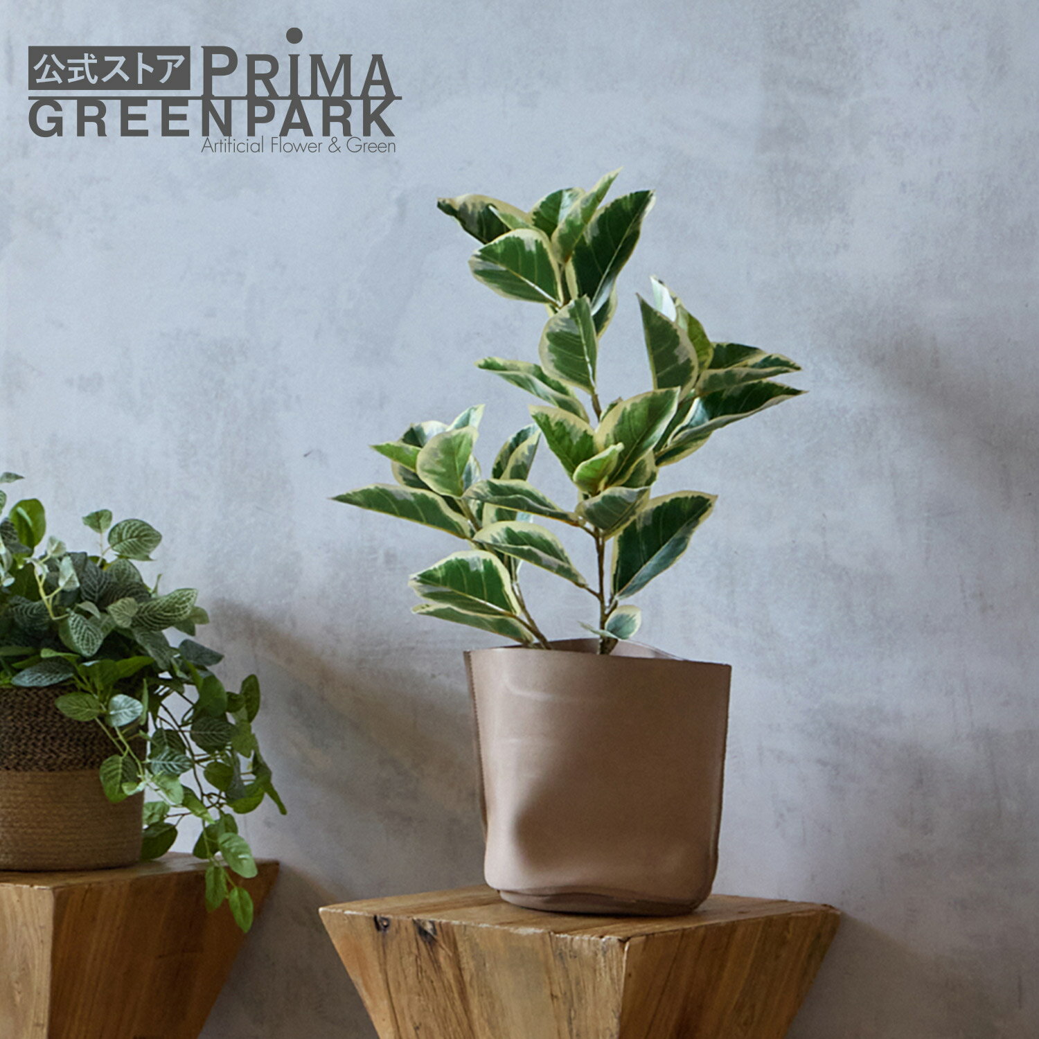 【公式】フィカス レザーポット H67cm ベージュ 観葉植物 フェイクグリーン | GREENPARK 人工観葉植物 造花 おしゃれ リアル イミテーション インテリアグリーン アートグリーン ギフト プレゼント お祝い