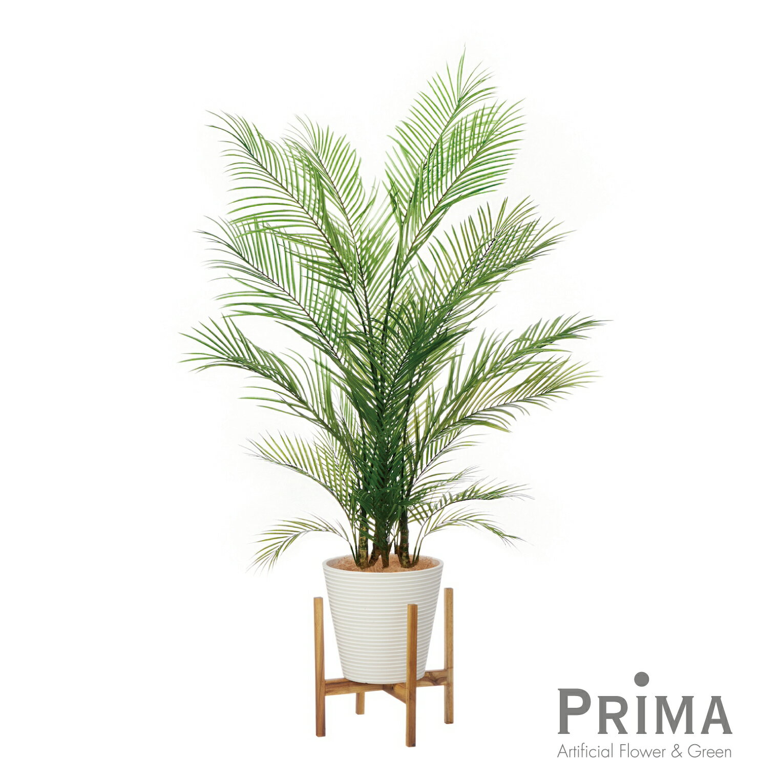 ڸۥ쥫䥷 GWץ󥿡 H175cm տʪ ե꡼ Ҹľʡ | GREENPARK ͹տʪ ¤...
