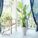 【ポイントUP】【公式】ストレリチア GWプランター H160cm ホワイト 観葉植物 フェイクグリーン 【当日出荷】 | GREENPARK 人工観葉植物 造...