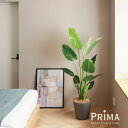 【公式】ストレリチア GWプランター H160cm ボーダーグレ— 観葉植物 フェイクグリーン | GREENPARK 人工観葉植物 造花 おしゃれ...