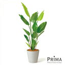 【公式】ストレリチア GWプランター H160cm ボーダーホワイト 観葉植物 フェイクグリーン | GREENPARK 人工観葉植物 造花 おしゃれ リアル ...