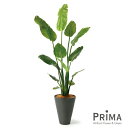 【公式】ストレリチア GWプランター H160cm グレー 観葉植物 フェイクグリーン 【当日出荷】 | GREENPARK 人工観葉植物 造花 おしゃれ リア...