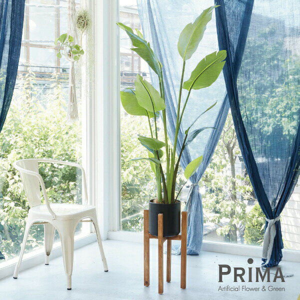 楽天PRIMA-GREENPARK【あす楽】ストレリチア ウッドスタンド H170cm 観葉植物 フェイクグリーン 【当日出荷】 | GREENPARK 人工観葉植物 造花 おしゃれ リアル イミテーション インテリアグリーン アートグリーン ギフト プレゼント お祝い