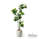【公式】ウンベラータ エッグポット H155cm 観葉植物 フェイクグリーン eco 【別倉庫直送品】 | GREENPARK 人工観葉植物 造花 おしゃれ リ...