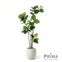 楽天PRIMA-GREENPARKウンベラータ エッグポット H155cm 観葉植物 フェイクグリーン eco 【別倉庫直送品】 | GREENPARK 人工観葉植物 造花 おしゃれ リアル イミテーション インテリアグリーン アートグリーン ギフト プレゼント お祝い