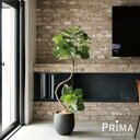 【ポイントUP】【公式】ツイストウンベラータ エッグポット H154cm 観葉植物 フェイクグリーン eco 【別倉庫直送品】 | GREENPARK 人工観葉...