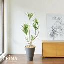 【公式】ドラセナ GWプランター H128cm 観葉植物 フェイクグリーン eco 【別倉庫直送品】 | GREENPARK 人工観葉植物 造花 おしゃれ リア...