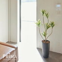 【公式】ドラセナ TPプランター H138cm 観葉植物 フェイクグリーン eco 【別倉庫直送品】 | GREENPARK 人工観葉植物 造花 おしゃれ リア...