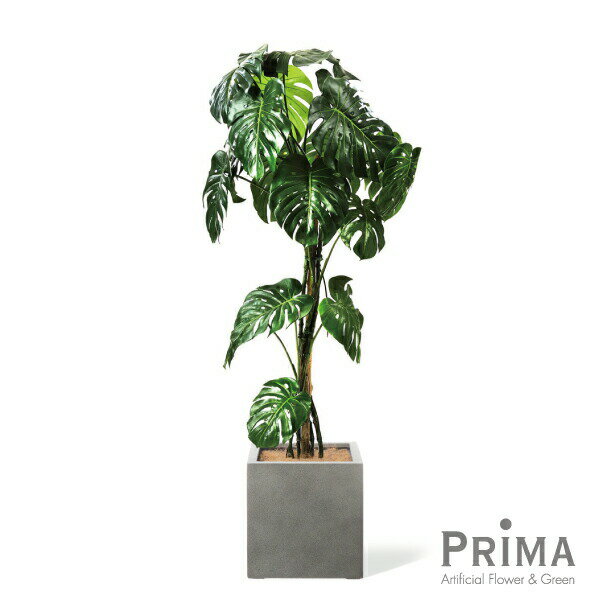 モンステラ キューブ H177cm 観葉植物 フェイクグリーン 【別倉庫直送品】 | GREENPARK 人工観葉植物 造花 おしゃれ リアル イミテーション インテリアグリーン アートグリーン ギフト プレゼント お祝い