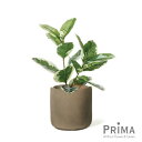【公式】ゴムの木 レザーポット H60cm 観葉植物 フェイクグリーン eco | GREENPARK 人工観葉植物 造花 おしゃれ リアル イミテーション イ...
