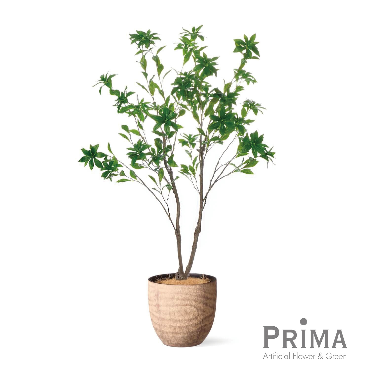楽天市場】アセビ(人工観葉植物|造花・人工観葉植物):花 楽天市場】アセビ(人工観葉植物|造花・人工観葉植物):花