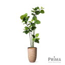【公式】ウンベラータ ウッドプランター H180cm 観葉植物 フェイクグリーン eco 【別倉庫直送品】 | GREENPARK 人工観葉植物 造花 おしゃれ...