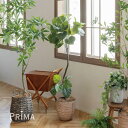 【公式】ツイストウンベラータ ウッドポット H155cm 観葉植物 フェイクグリーン eco 【別倉庫直送品】 | GREENPARK 人工観葉植物 造花 おし...