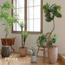 【ポイントUP】【公式】ツイストウンベラータ ウッドプランター H180cm 観葉植物 フェイクグリーン eco 【別倉庫直送品】 | GREENPARK 人工...