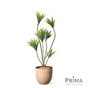 【公式】ドラセナ ウッドポット H120cm 観葉植物 フェイクグリーン eco 【別倉庫直送品】 | GREENPARK 人工観葉植物 造花 おしゃれ リアル イミテーション インテリアグリーン アートグリーン ギフト プレゼント お祝い