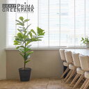 【公式】カシワバゴムノキ GWプランター H145cm 観葉植物 フェイクグリーン 【別倉庫直送品】 | GREENPARK 人工観葉植物 造花 おしゃれ リア...