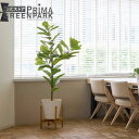 【公式】カシワバゴムノキ GWプランター脚付 H160cm 観葉植物 フェイクグリーン 【別倉庫直送品】 | GREENPARK 人工観葉植物 造花 おしゃれ ...