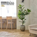 【公式】カシワバゴムノキ エッグポット H150cm 観葉植物 フェイクグリーン 【別倉庫直送品】 | GREENPARK 人工観葉植物 造花 おしゃれ リアル...