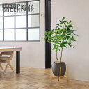 【公式】パキラ エッグポット脚付 H145cm 観葉植物 フェイクグリーン 【別倉庫直送品】 | GREENPARK 人工観葉植物 造花 おしゃれ リアル イミ...
