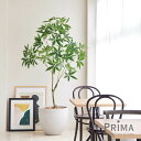 【ポイントUP】【公式】パキラ ボウル H195cm 観観葉植物 フェイクグリーン 【別倉庫直送品】 | GREENPARK 人工観葉植物 造花 おしゃれ リア...