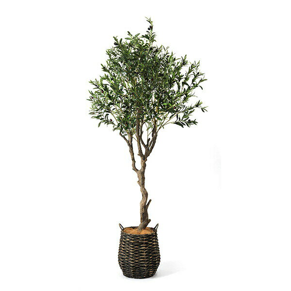 オリーブ レムリアポット H200cm 観葉植物 フェイクグリーン 【別倉庫直送品】 | GREENPARK 人工観葉植物 造花 おしゃれ リアル イミテーション インテリアグリーン アートグリーン ギフト プレゼント お祝い