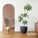 【公式】ツイストパキラ ボウル H200cm 観葉植物 フェイクグリーン 【別倉庫直送品】 eco | GREENPARK 人工観葉植物 造花 おしゃれ リアル...