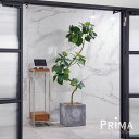 ツイストウンベラータ キューブ H200cm 観葉植物 フェイクグリーン 【別倉庫直送品】 eco | GREENPARK 人工観葉植物 造花 おしゃれ リアル イミテーション インテリアグリーン アートグリーン ギフト プレゼント お祝い