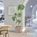 【公式】ツイストパキラ キューブ H200cm 観葉植物 フェイクグリーン 【別倉庫直送品】 eco | GREENPARK 人工観葉植物 造花 おしゃれ リア...