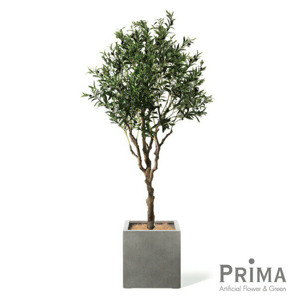 オリーブ キューブ H200cm 観葉植物 フェイクグリーン 【別倉庫直送品】 | GREENPARK 人工観葉植物 造花 おしゃれ リアル イミテーション インテリアグリーン アートグリーン ギフト プレゼント お祝い