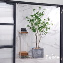 【公式】アセビ キューブ H215cm 観葉植物 フェイクグリーン 【別倉庫直送品】 | GREENPARK 人工観葉植物 造花 おしゃれ リアル イミテーショ...